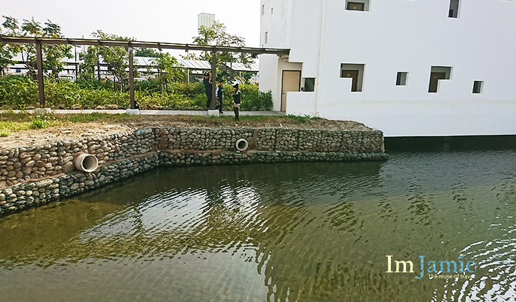 人工鵝軟石排水沿岸.jpg