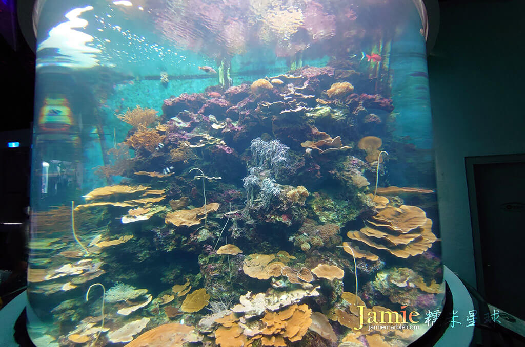 巨大圓柱海水魚缸