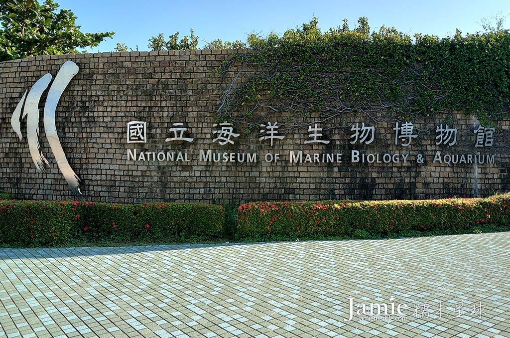 屏東大門口國立海洋生物博物館招牌，磚塊背景爬滿樹藤