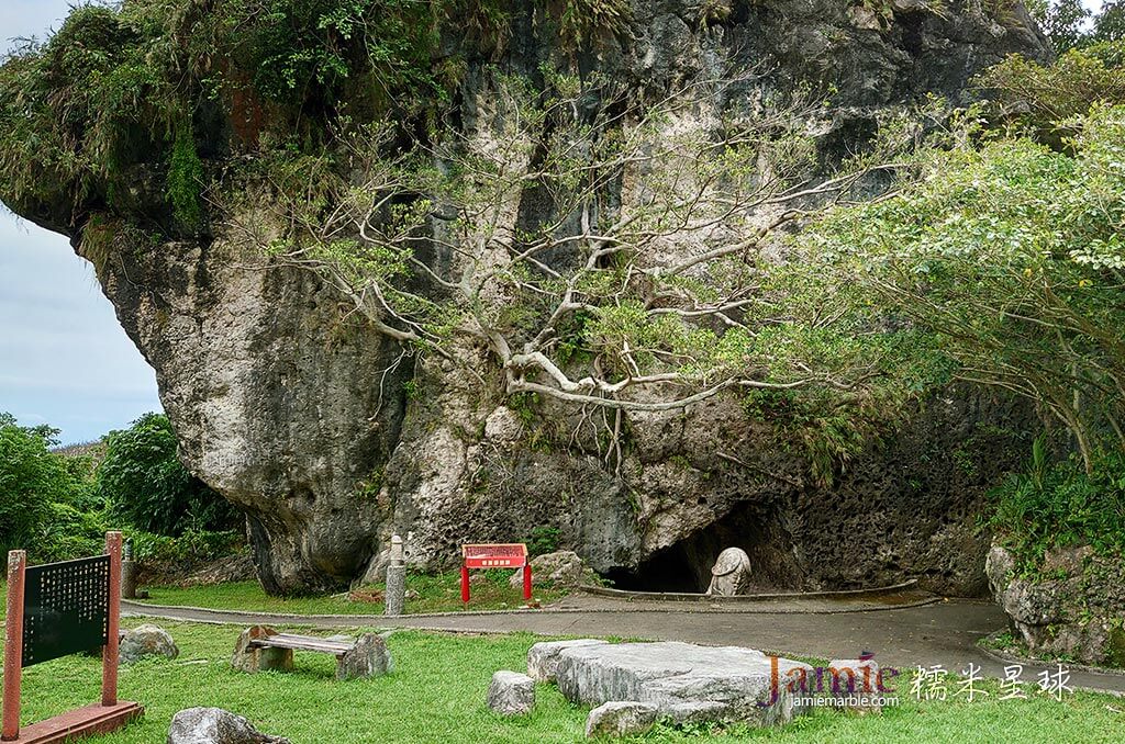 台東巨大珊瑚石18x15公尺與植被