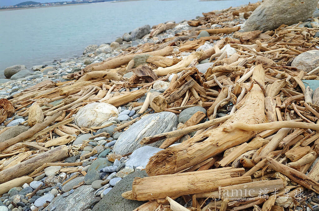嶺頂沙丘漂流木